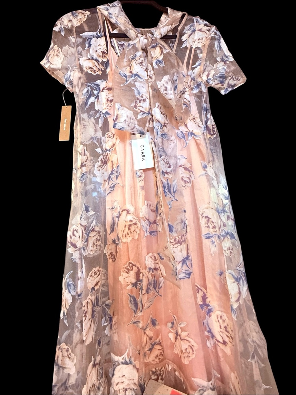Rare Caara Few Moda Melody Dress Antique Rose Floral Peach Pink Overlay NWT